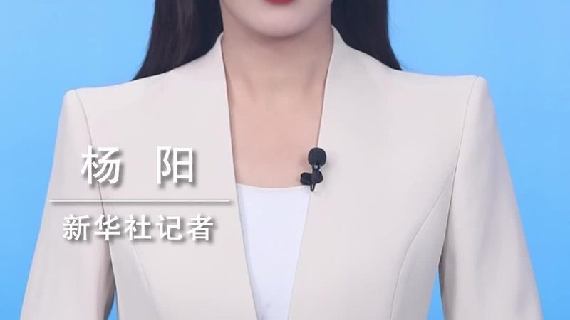 OA协同办公：解析其优缺点与用户评价